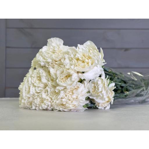 Moon Golem Гвоздика