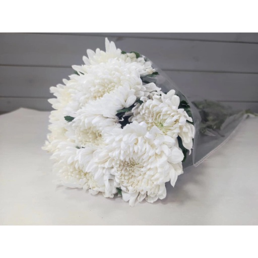 Zembla White Chrysanthemum Хризантема одноголовая