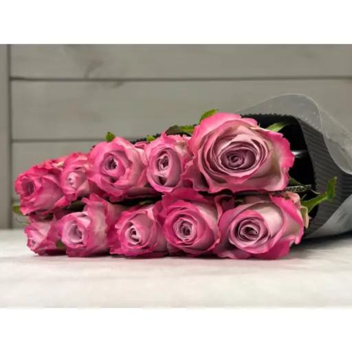 Aura Роза одноголовая