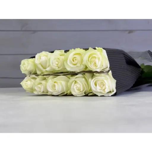 One Head Pride Роза одноголовая