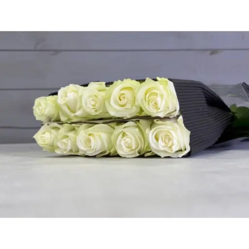 One Head Pride Роза одноголовая