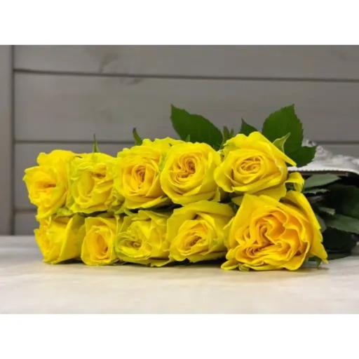 Yueguangmanbu Роза одноголовая