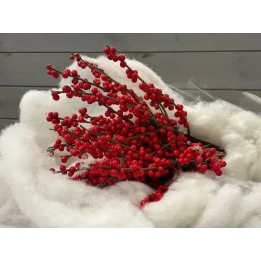 Ilex ve rode bes (3шт) Зелень