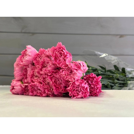 Bizet Hot Pink Гвоздика