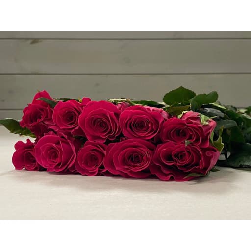 Rose gao sheng Роза одноголовая