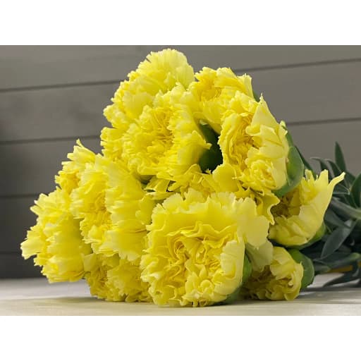 Carnation yellow Гвоздика