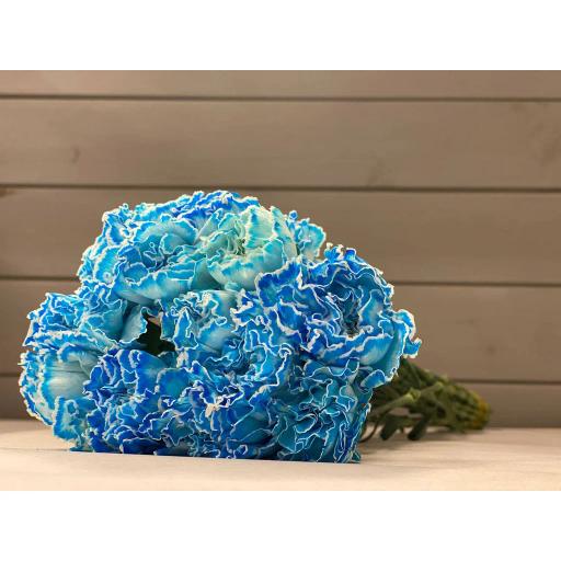 Vip Cote D’Azur Carnation Гвоздика