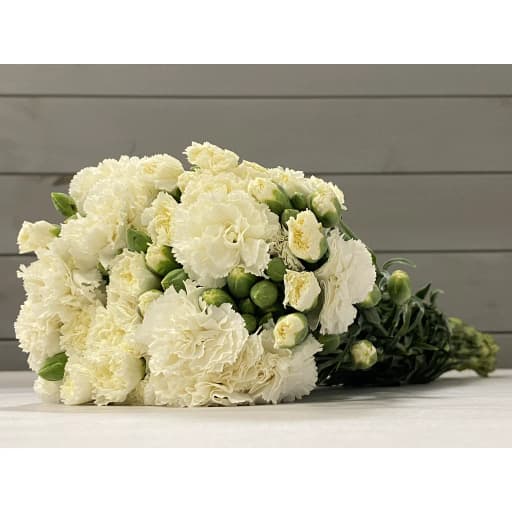 Spray Carnation White Гвоздика кустовая