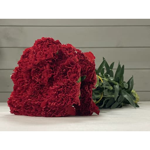 Carnation red Гвоздика