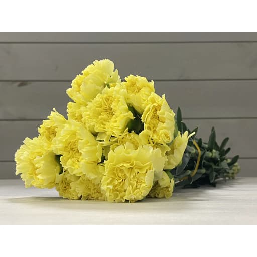 Carnation yellow Гвоздика
