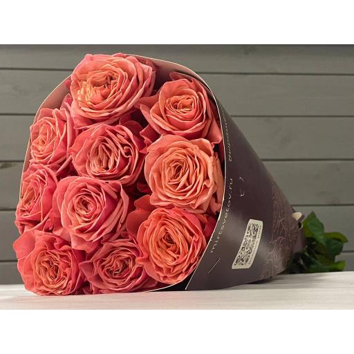 Баблгам Роза одноголовая