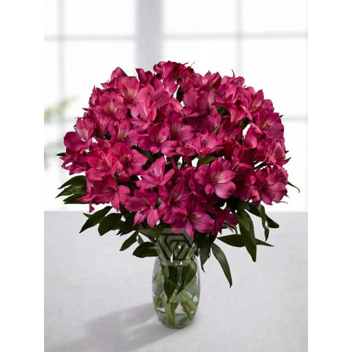 HOT PINK INTENZ DARK PINK Альстромерия