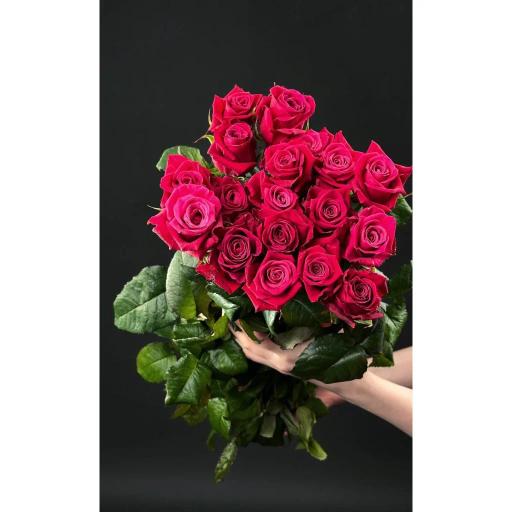 Шангри Ла Роза одноголовая