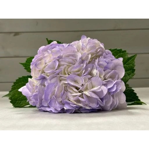 HYDRANGEAS LIGHT PURPLE Гортензия