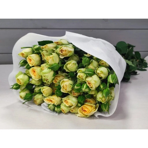 Bush Rose Avocado Роза кустовая