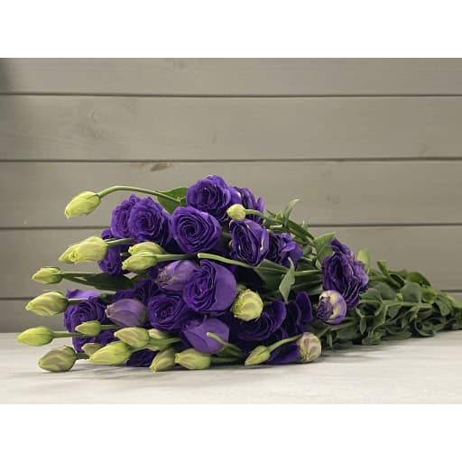 Lisianthus blue Эустома