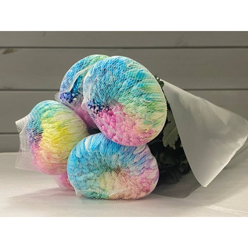 Spider Rainbow Хризантема одноголовая