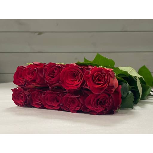 Rose nina Роза одноголовая
