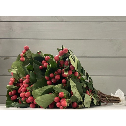 Red Гиперикум