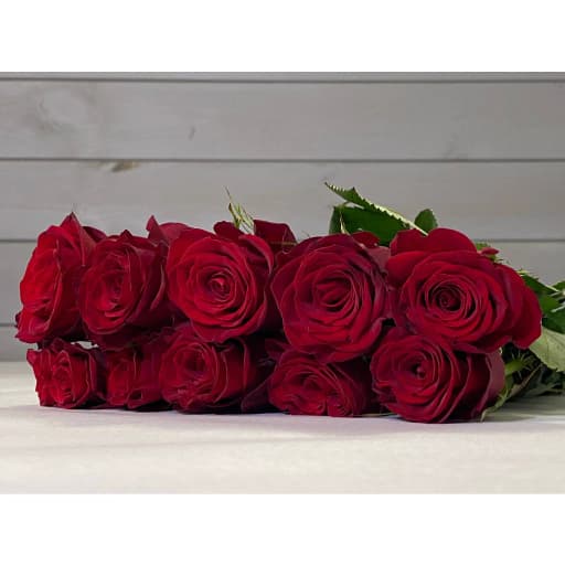Rose candlelighte Роза одноголовая