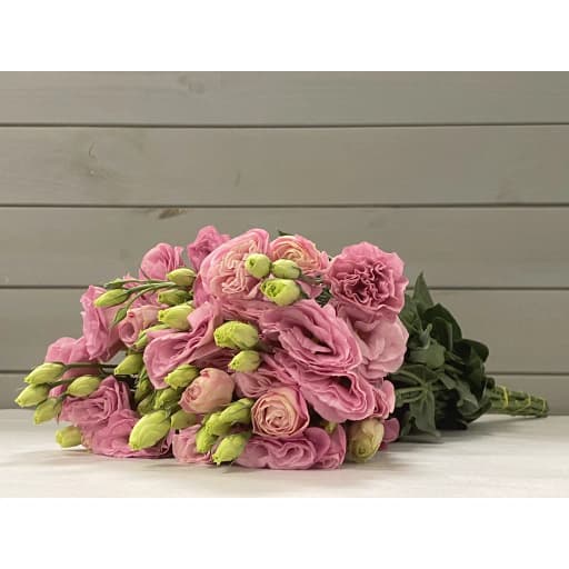 Lisianthus pink Эустома