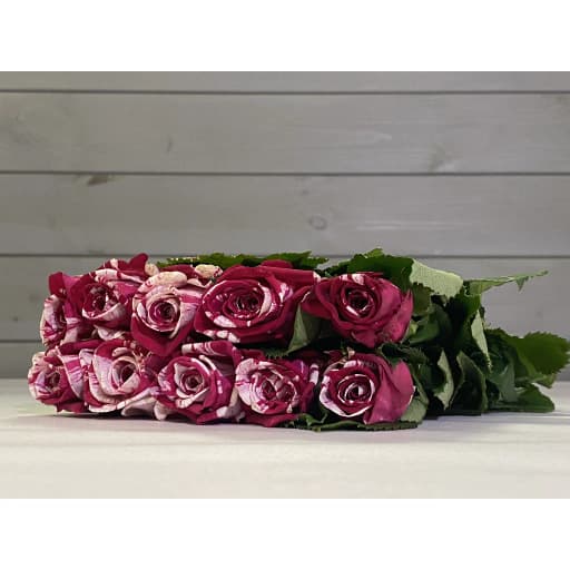 Rose aquarius Роза одноголовая