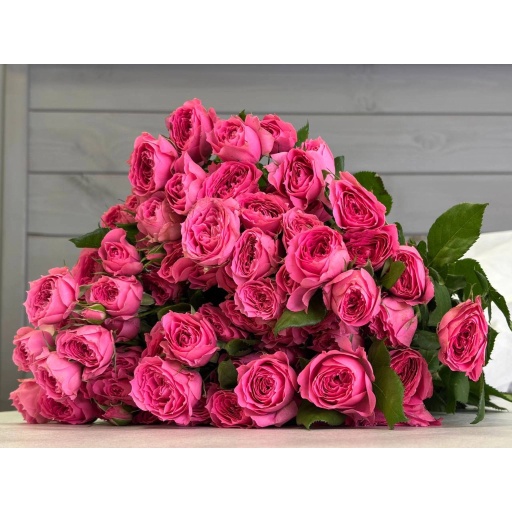 Bush Rose Sophie Baby Роза кустовая