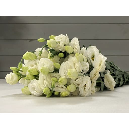 Lisianthus white Эустома