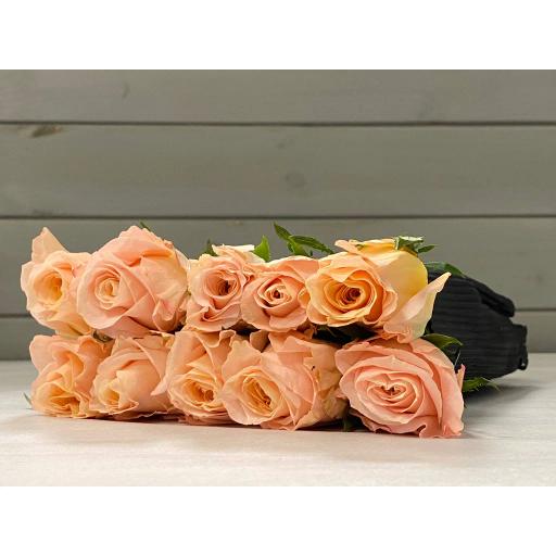 Mix 1 Роза одноголовая