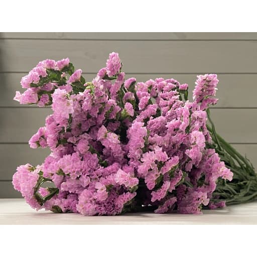 Pink Статица