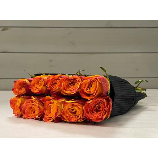 Mix 6 Роза одноголовая