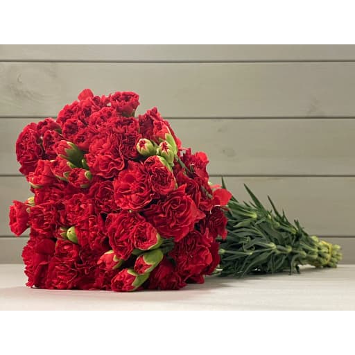 Spray Carnation Red Гвоздика кустовая
