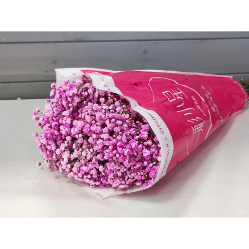 Pink Гипсофила