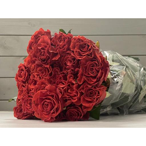 Эльторо Роза одноголовая