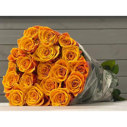 Эспания Роза одноголовая