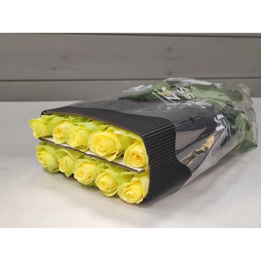 Yellow Роза одноголовая