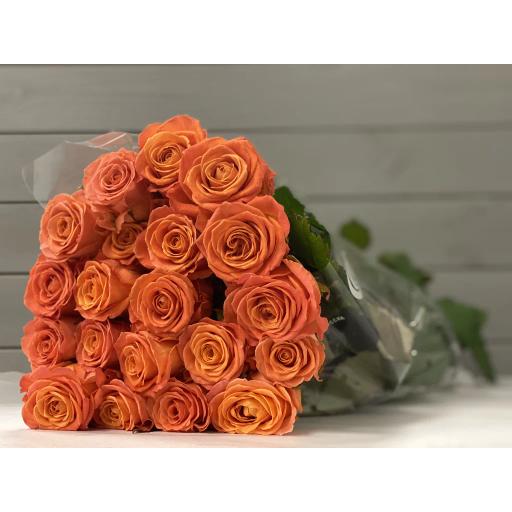 Кларенс Роза одноголовая