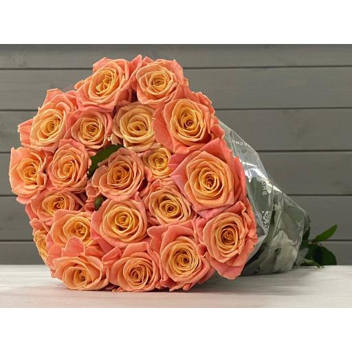 Мисс Пигги Роза одноголовая