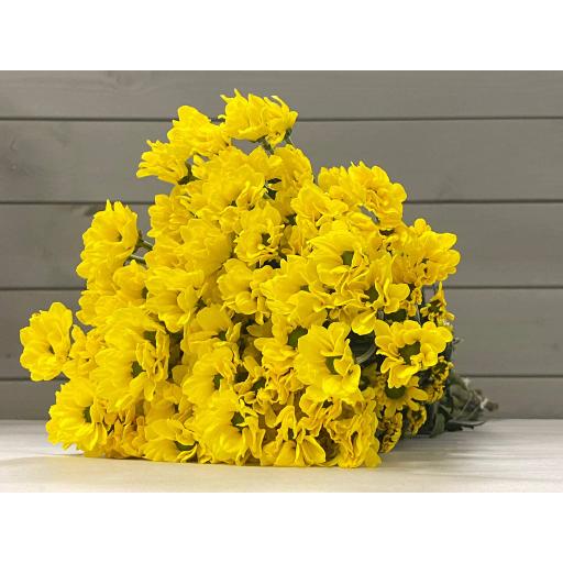 Agulo Yellow Хризантема кустовая
