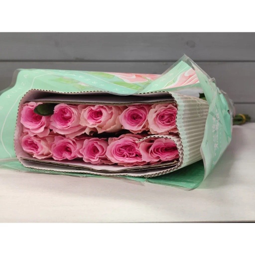 Mandala Роза одноголовая