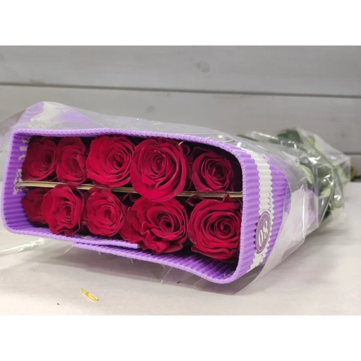 Red Naomi Роза одноголовая