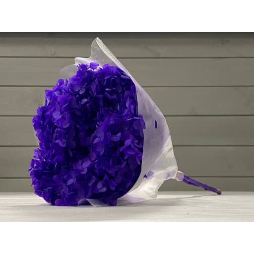 Purple (стабилизированная) Гортензия