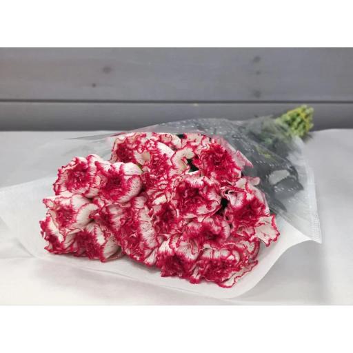 A Surname Гвоздика