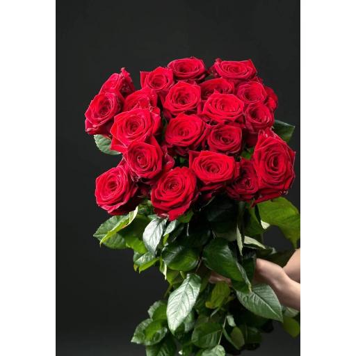 Ред Наоми Роза одноголовая