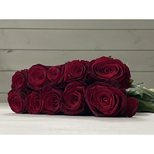 Rose daji Роза одноголовая