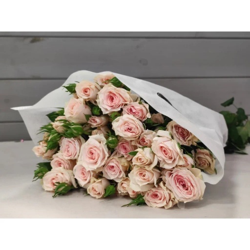 Bush Rose Inger Kristin Роза кустовая