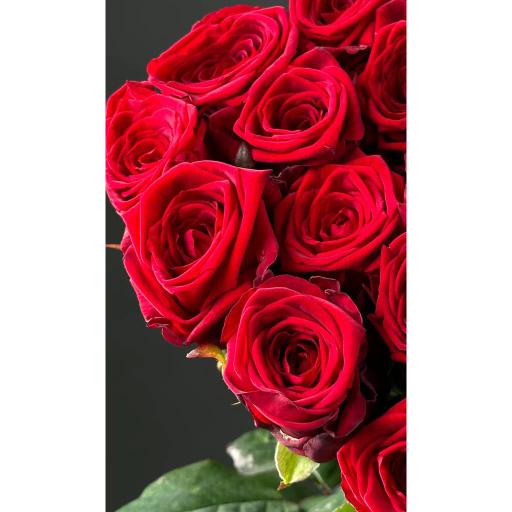 Ред Наоми Роза одноголовая