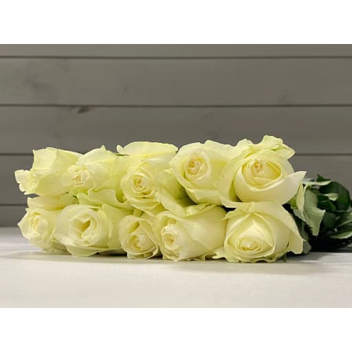 Rose proud Роза одноголовая