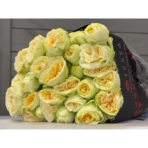 WINK ALLURE Роза кустовая Эквадор