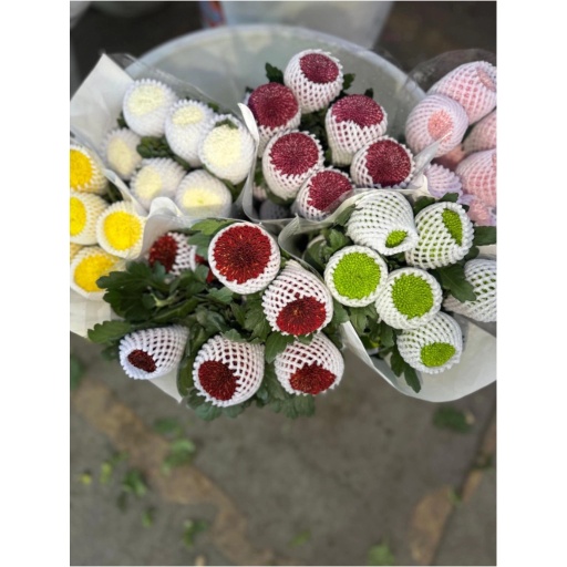 Pompon Mom Mix 6 Colors Хризантема одноголовая